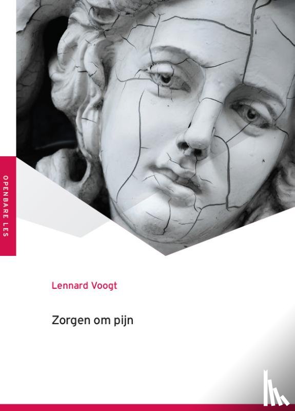 Voogt, Lennard - Zorgen om pijn