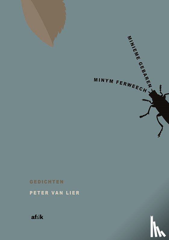 Lier, Peter van - Minym ferweech / Minieme gebaren