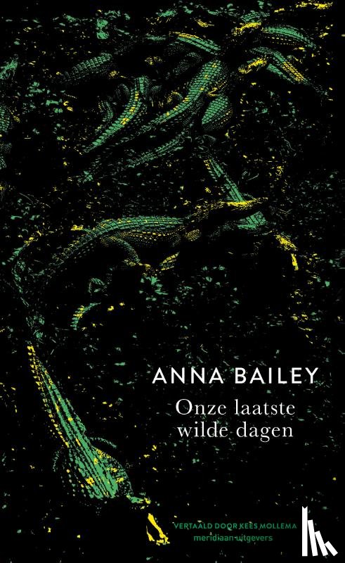 Bailey, Anna - Onze laatste wilde dagen