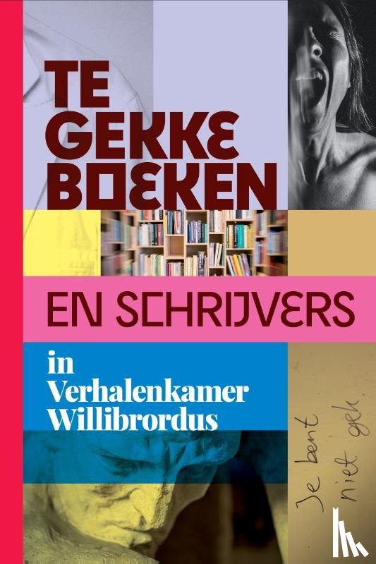 Hoorn, Marijn van - Te gekke boeken en schrijvers in Verhalenkamer Willibrordus