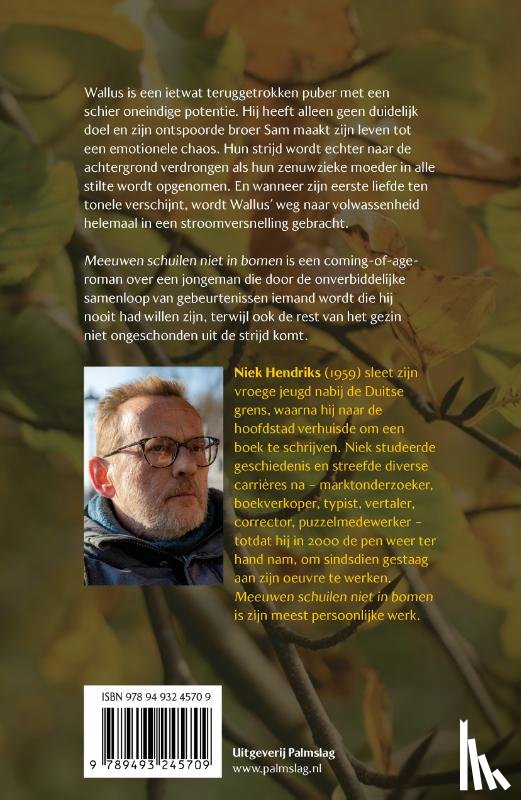 Hendriks, Niek - Meeuwen schuilen niet in bomen
