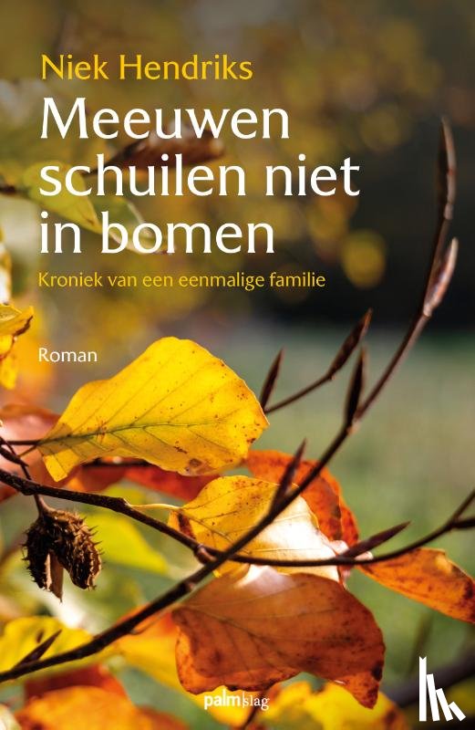 Hendriks, Niek - Meeuwen schuilen niet in bomen