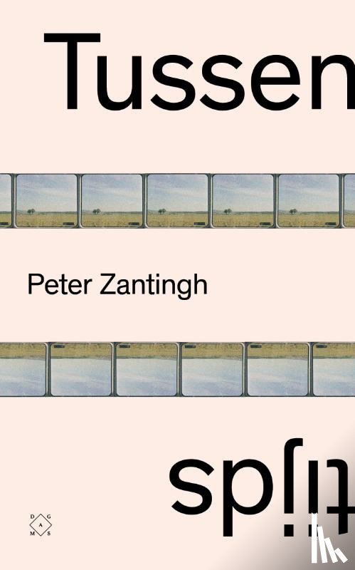 Zantingh, Peter - Tussentijds
