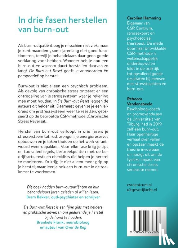 Hamming, Carolien, Vandenabeele, Rebecca - De burn-out reset