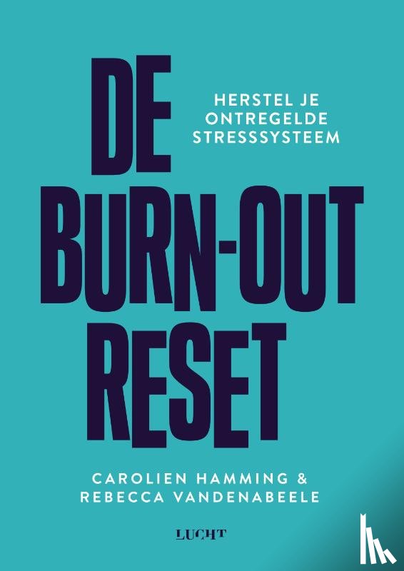 Hamming, Carolien, Vandenabeele, Rebecca - De burn-out reset