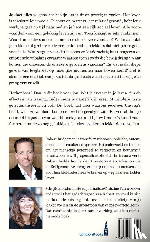 Pannebakker, Christine, Bridgeman, Robert - Trauma, je bent gek als je het niet hebt