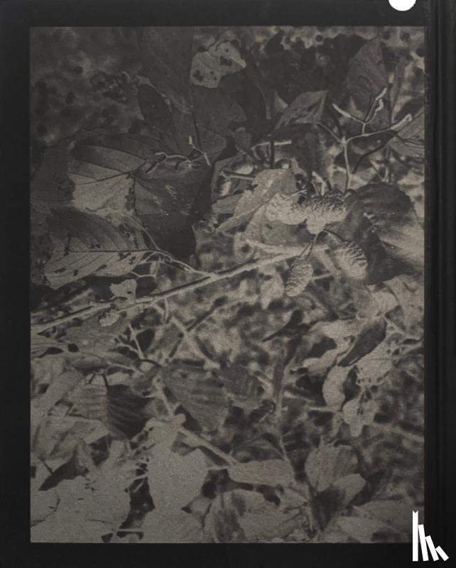 Svenson, Peter, Hop, Arja - FELWA