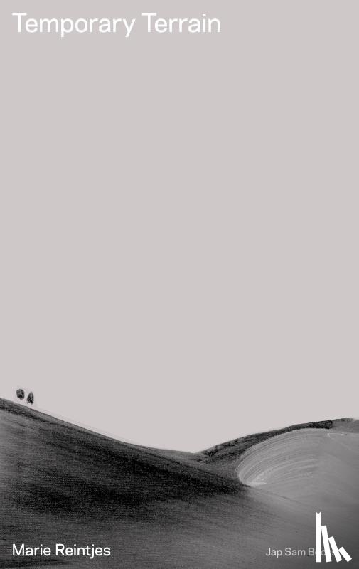 Pollet, Inge, Westen, Mirjam, Reintjes, Marie - Temporary Terrain. Marie Reintjes