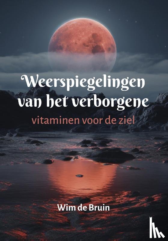 Bruin, Wim de - Weerspiegelingen van het verborgene