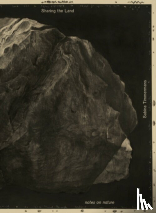 Timmermans, Sabina - Shifting Fields of Vision
