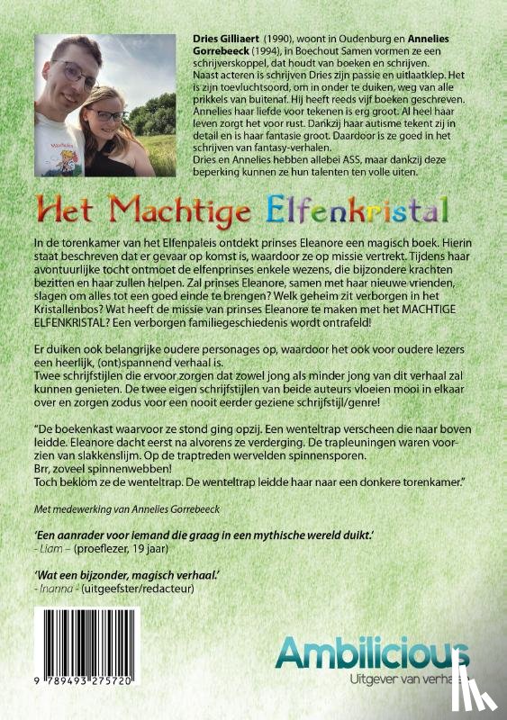 Gilliaert, Dries, Berg, Inanna van den - Het machtige elfenkristal