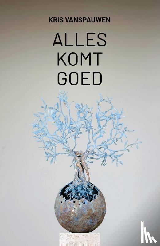 Vanspauwen, Kris - Alles komt goed