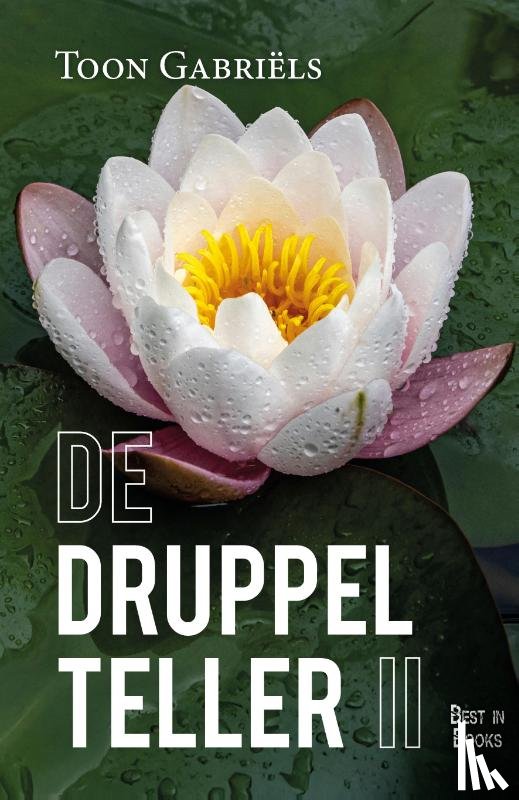 Gabriëls, Toon - II