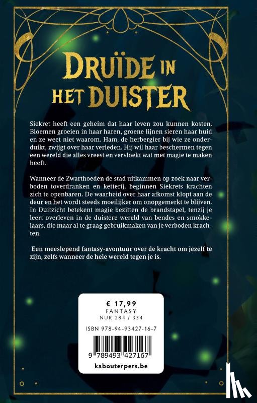 de Heer, Matthias - Druïde in het duister