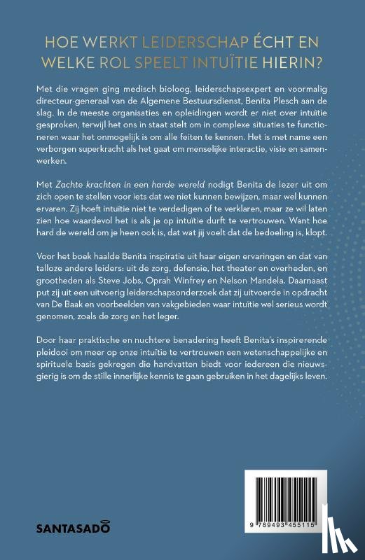 Plesch, Benita, Kleinlangevelsloo, Ellen, Roodenburg, Piet - Zachte krachten in een harde wereld