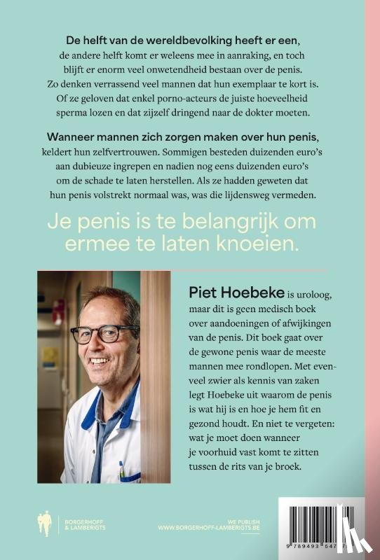 Hoebeke, Piet - Schudden na gebruik