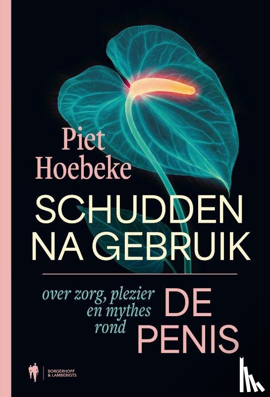 Hoebeke, Piet - Schudden na gebruik