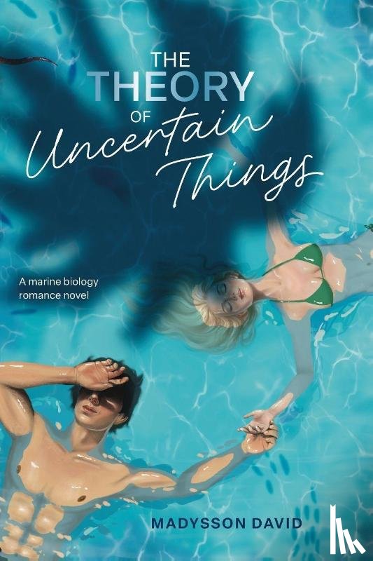 David - The Theory of Uncertain Things