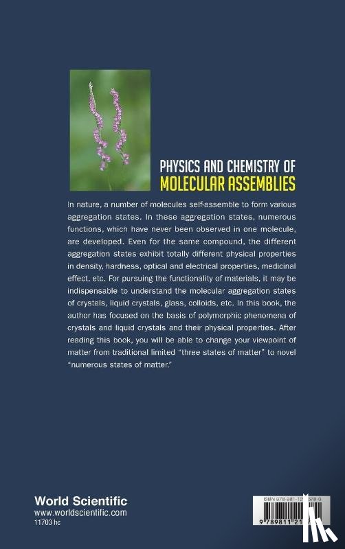 Ohta, Kazuchika (Shinshu Univ - Physics And Chemistry Of Molecular Assemblies