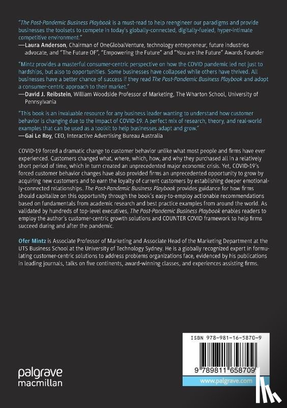 Mintz, Ofer - The Post-Pandemic Business Playbook