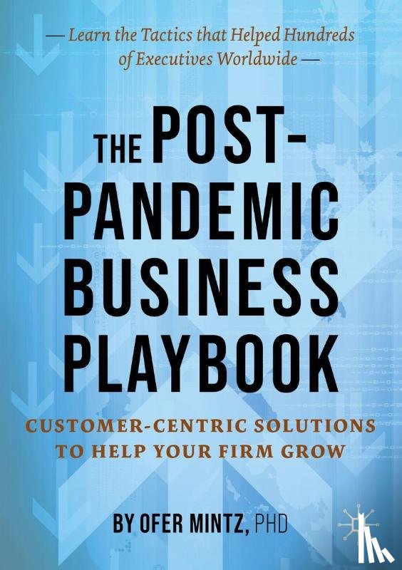 Mintz, Ofer - The Post-Pandemic Business Playbook