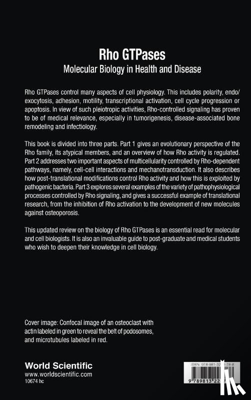  - Rho Gtpases: Molecular Biology In Health And Disease