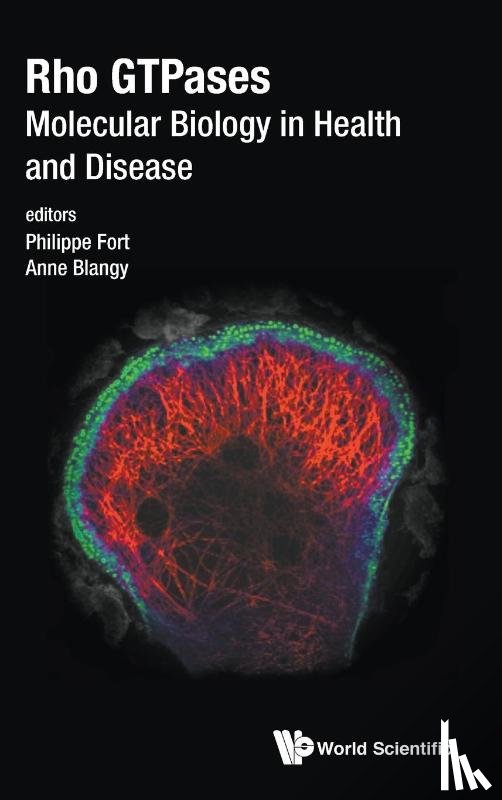  - Rho Gtpases: Molecular Biology In Health And Disease