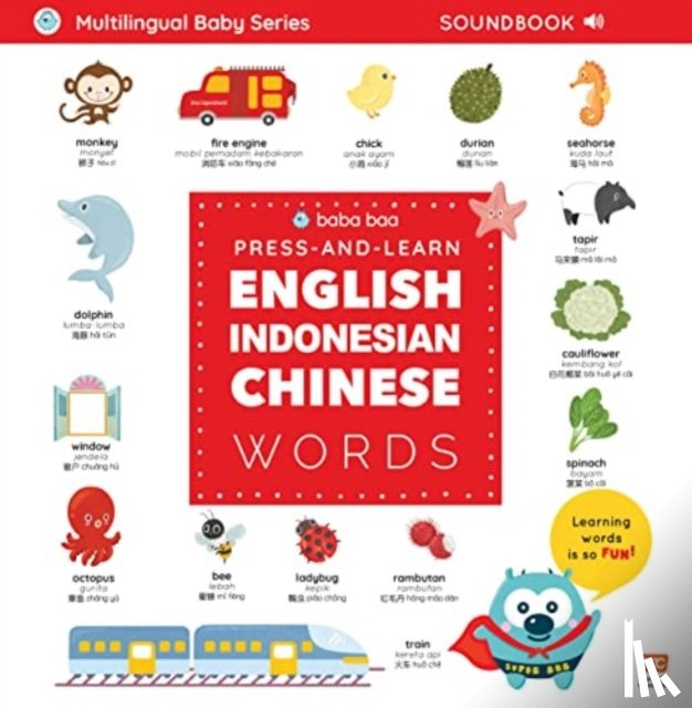  - Press-and-Learn English Indonesian Chinese Words Sound Book