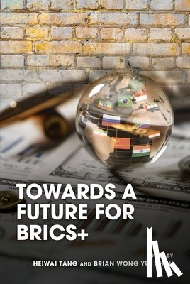  - Towards a Future for Brics+