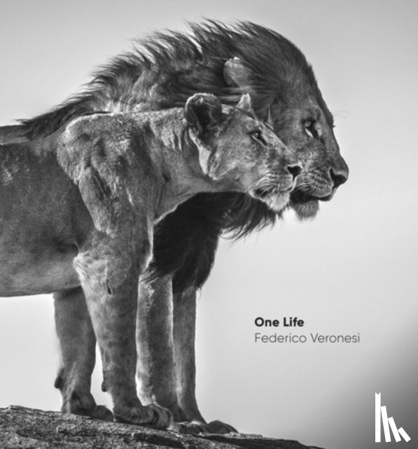Veronesi, Federico - One Life