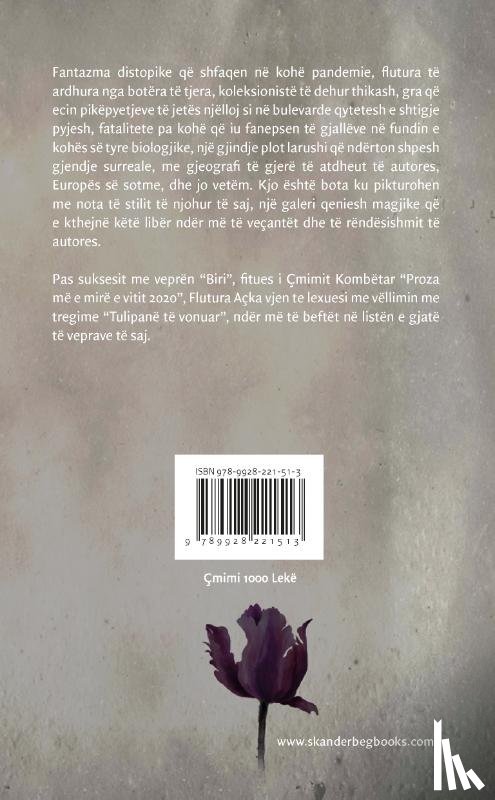 Açka, Flutura - Tulipanë te vonuar