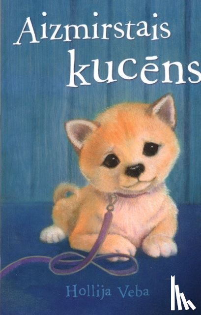 Webb, Holly - Aizmirstais Kucns
