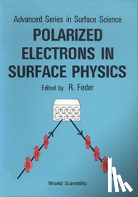  - Polarized Electrons In Surface Physics