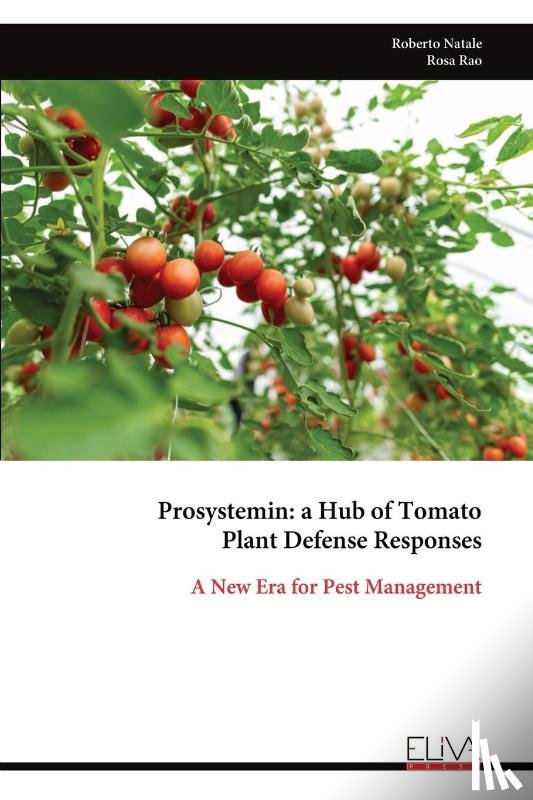 Natale, Roberto - Prosystemin