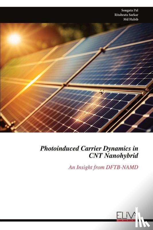 Pal, Sougata - Photoinduced Carrier Dynamics in CNT Nanohybrid