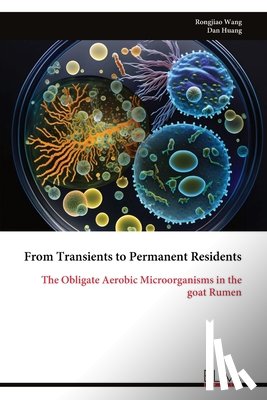 Wang, Rongjiao - From Transients to Permanent Residents