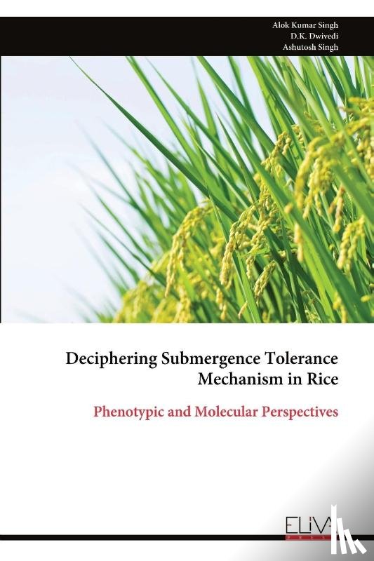 Singh, Alok Kumar - Deciphering Submergence Tolerance Mechanism in Rice