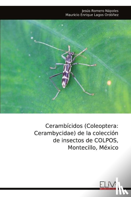 Romero Nápoles, Jesús - Cerambícidos (Coleoptera