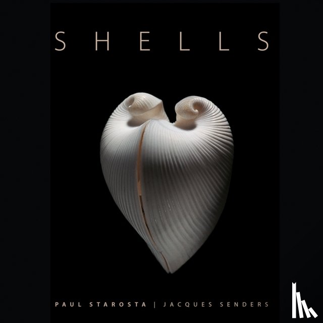 Portoghesi, Paolo - Shells