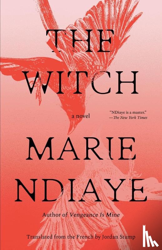 NDiaye, Marie - The Witch