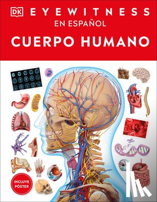 DK - Eyewitness: Cuerpo Humano (Human Body)
