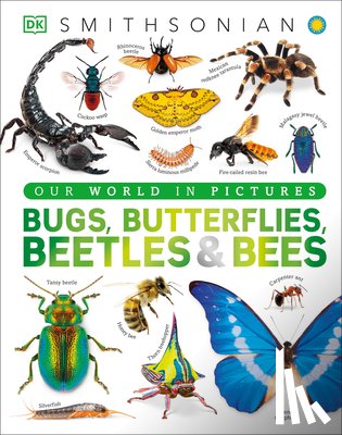 DK - Bugs, Butterflies, Beetles and Bees