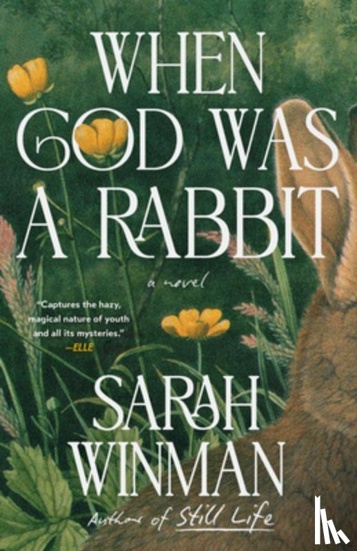 Winman, Sarah - When God Was a Rabbit