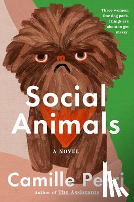 Perri, Camille - Social Animals