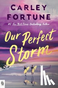 Fortune, Carley - Our Perfect Storm