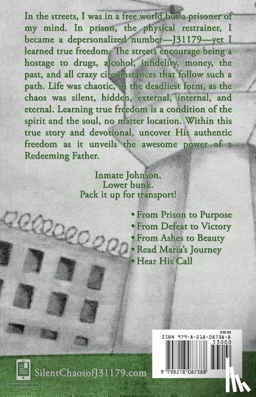 Green, Maria - Silent Chaos of J31179