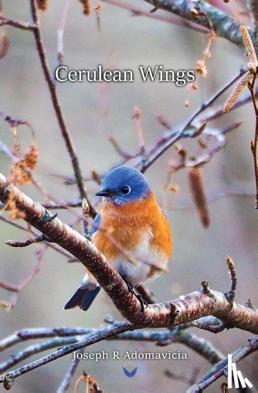 Adomavicia, Joseph R. - Cerulean Wings