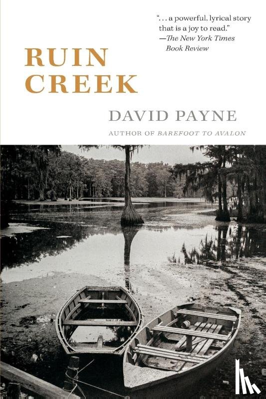 Payne, David - Ruin Creek