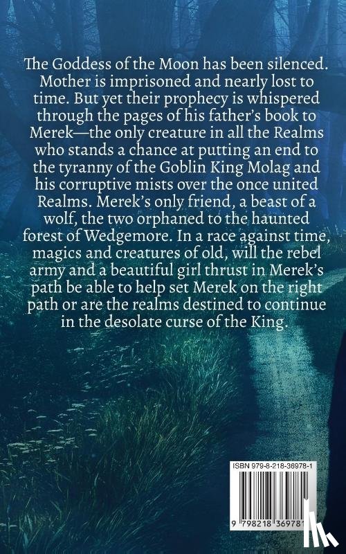 Stevens, Amanda J - The Kingdom of Mist and Blood