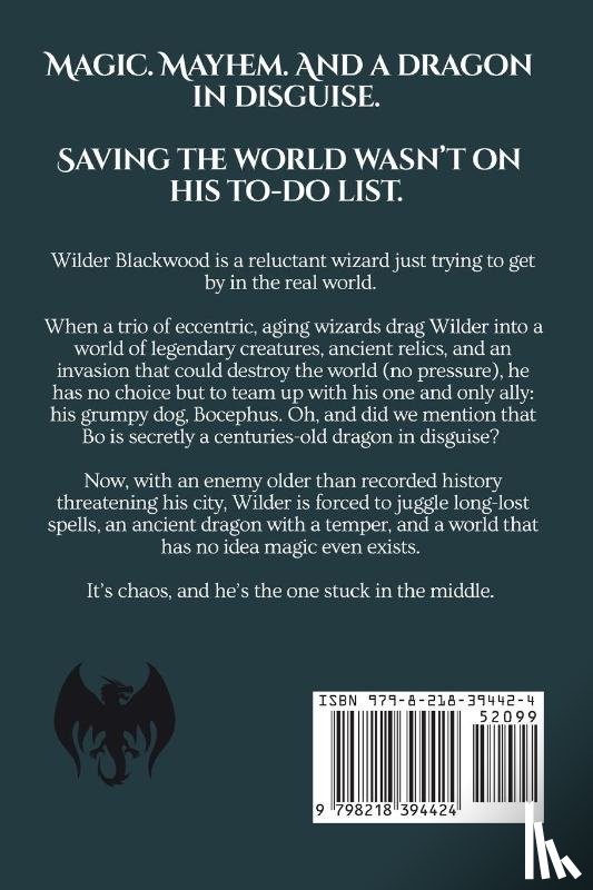 Shannon, Jon - Treasure of the American Dragon